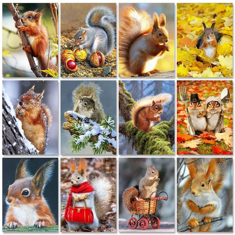 

RUOPOTY DIY Diamond Painting Squirrel kit diamond painting Full Square Animal Picture Of Rhinestones Mosaic Creative Hobbies