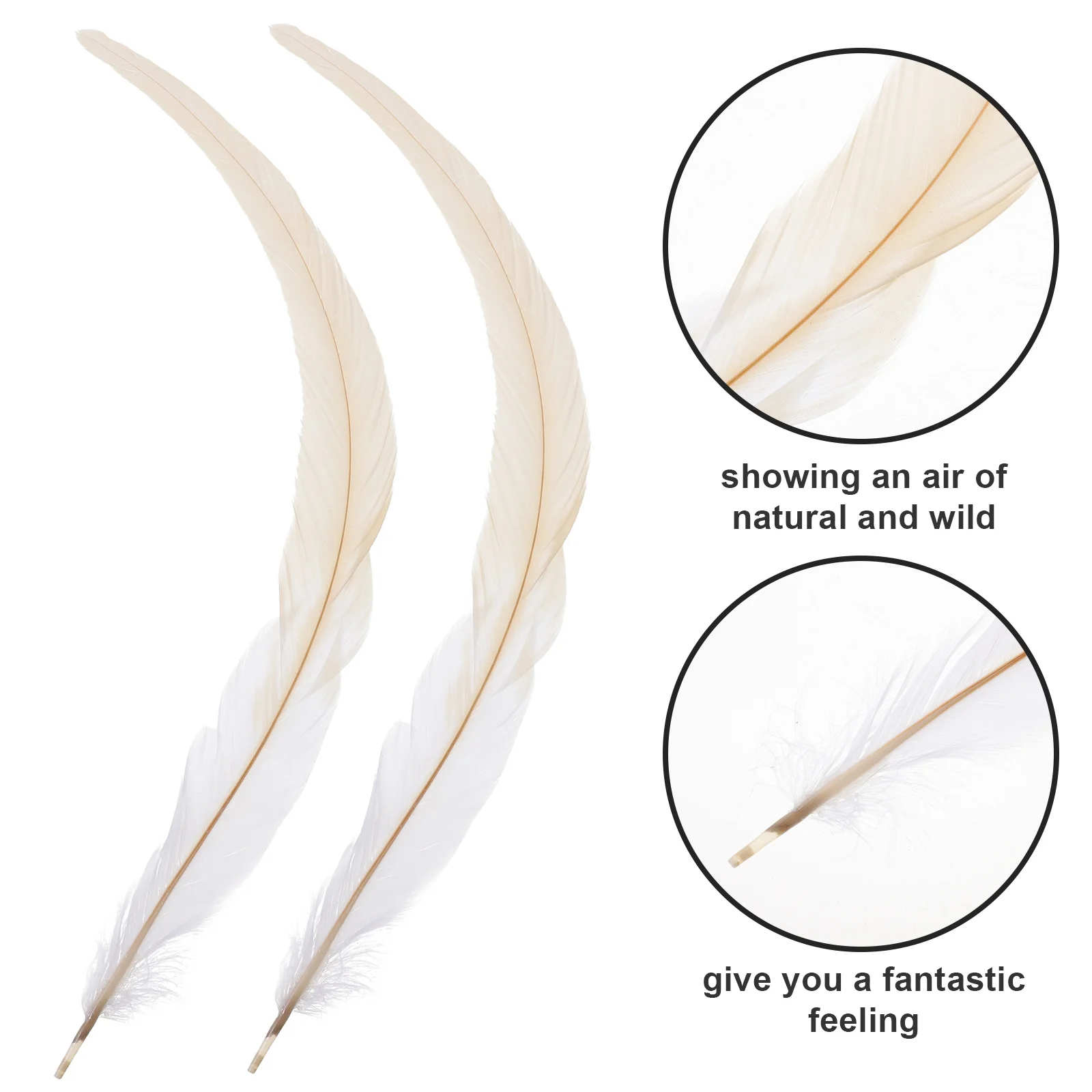 

50Pcs Rooster Natural Tail 33-40cm Pasteurized Waterproof DIY Clothing Shoes Decoration Tail Rooster