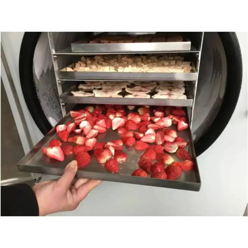 식품 동결건조 과일 진공 가정용 채소 - 동결건조기 및 건조 장비