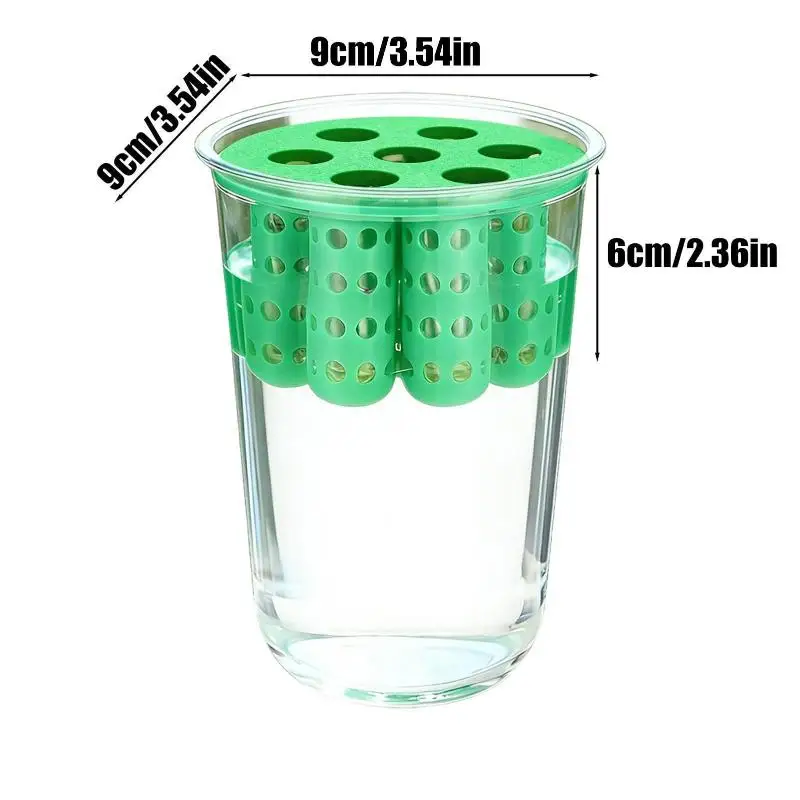 Green Onion Planter Hydroponic Grower Kit 7 Holes Clear Reusable Scallion Seedling Tray Mini Vase For Plant Vegetable Sprouting