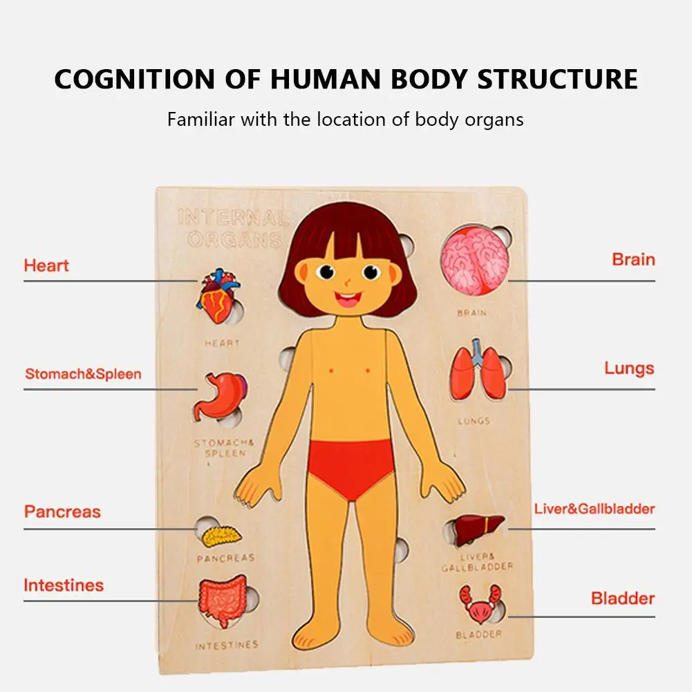 

3D Wooden Animal Puzzle for Kids Multi Layer Natural Scenes High Quality Wood Craftsmanship Safe Smooth Edges Educational Toy