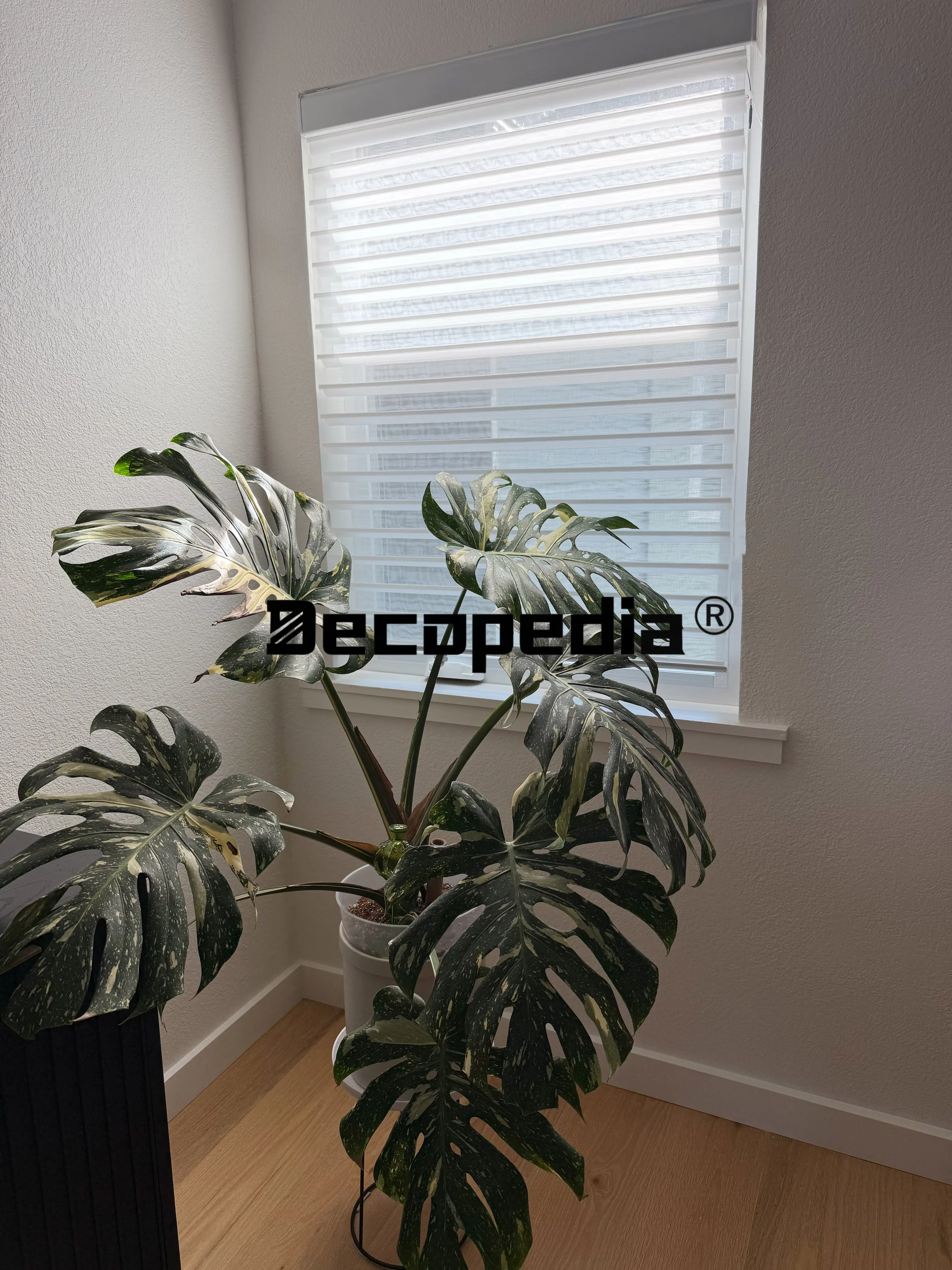 Decopedia Custom Made Sheer Shades Triple-Layer Light Filtering Sheer Roller Shades Motorzied Blinds for Windows Living Room