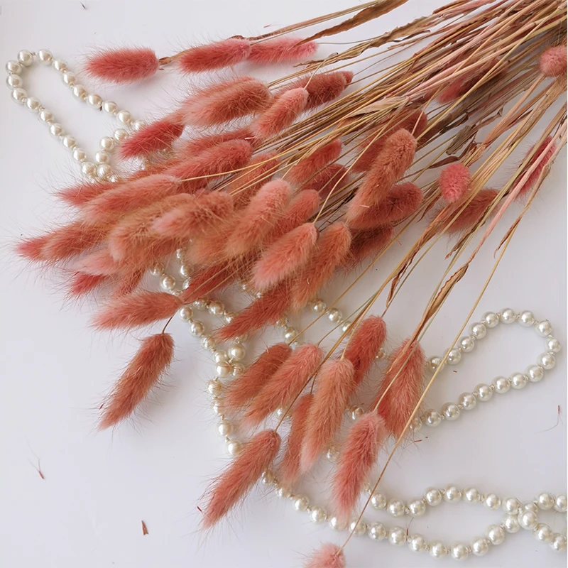 

60pcs Bunny Tail Grass Natural Dried Rabbit Tail Pampas Grass Bouquet for Wedding Party Decortaion Strawberry Boho Home Decor