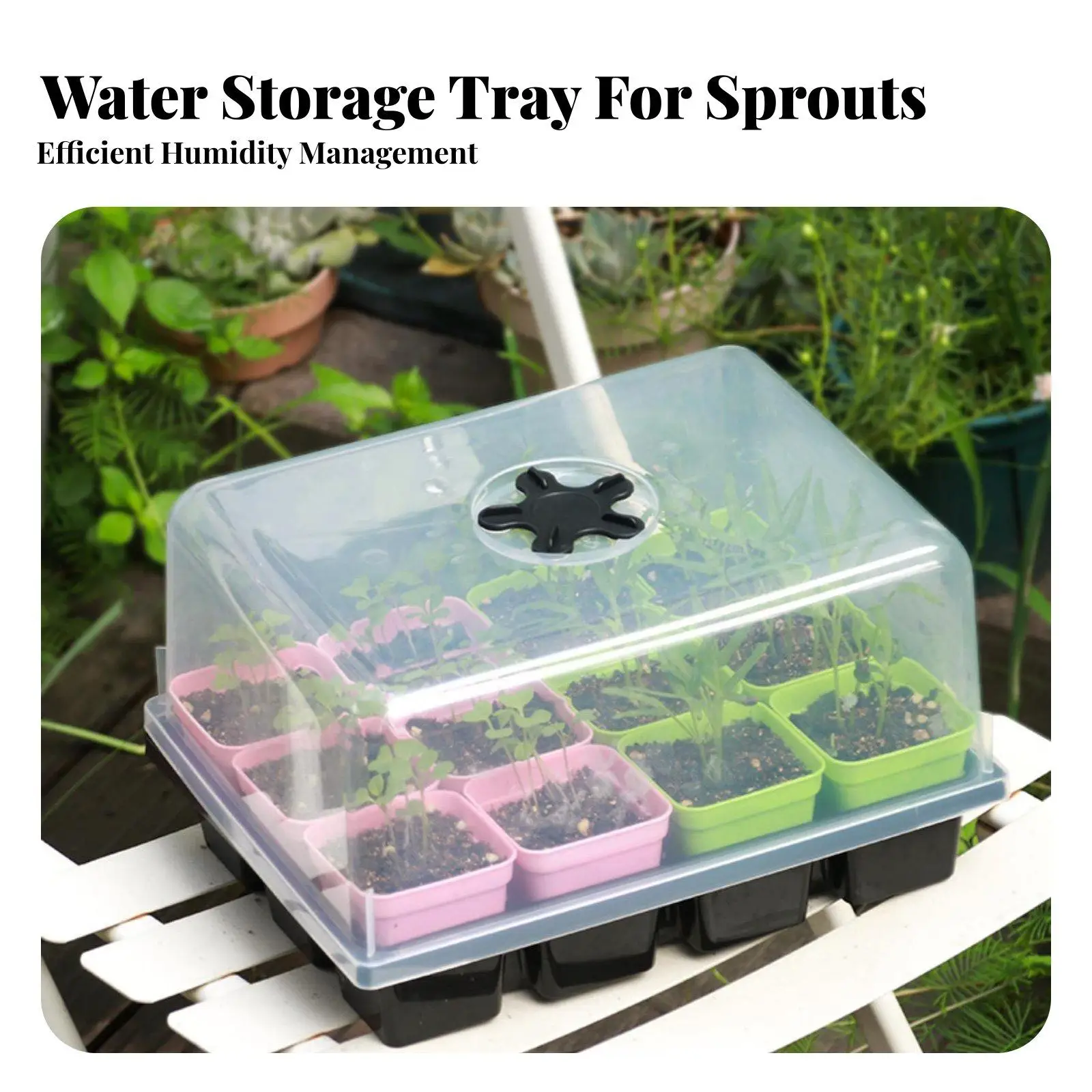 12 Cell Seedling Tray with Dome Clear View Design Growing Kit Multi-Colored Pots