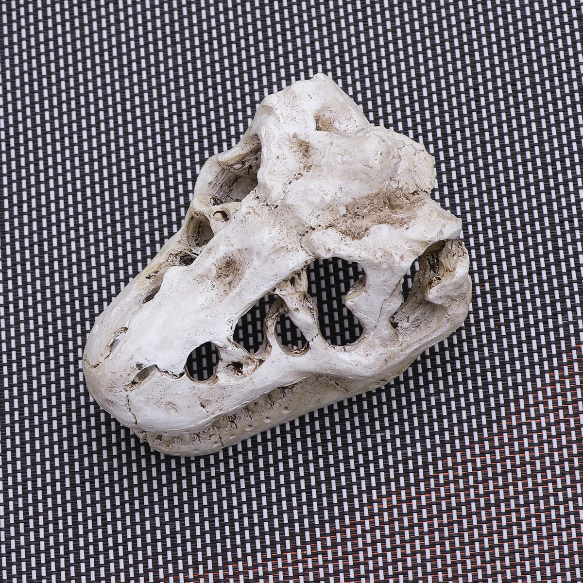 

2Pcs Resin Tyrannosaurus Skull Head Aquarium Decor for Fish Tank Terrarium Reptile Hide Cave Resin Ornament Fish Tank