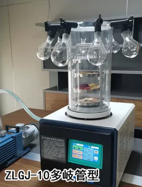 Laboratory small desktop vertical freeze dryer compressed air filter precision device