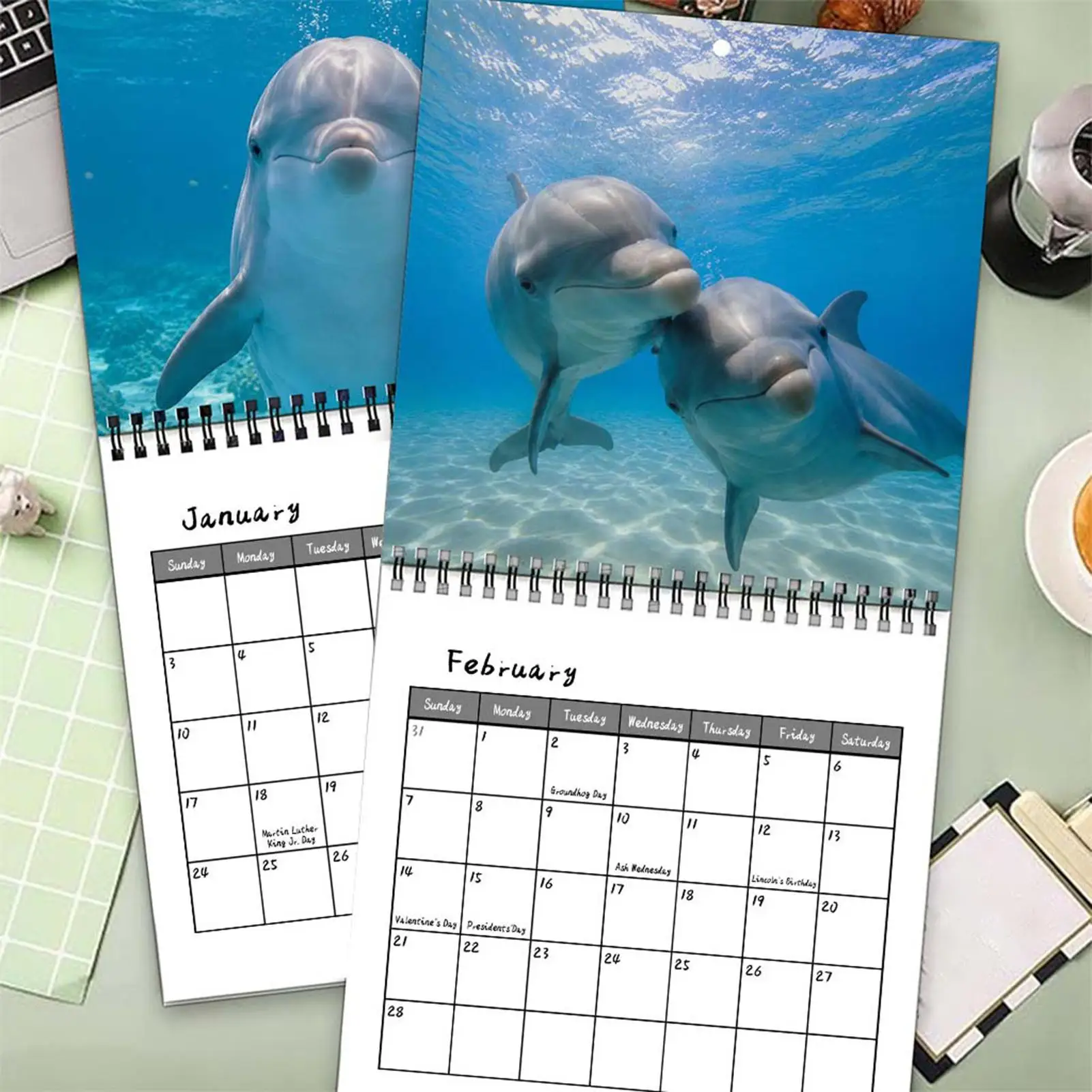 2027 Dolphin Calendar Dolphin Photography Schedule Management Whole Year Wall Monthly Calendar For Classroom Dining Room Dorm