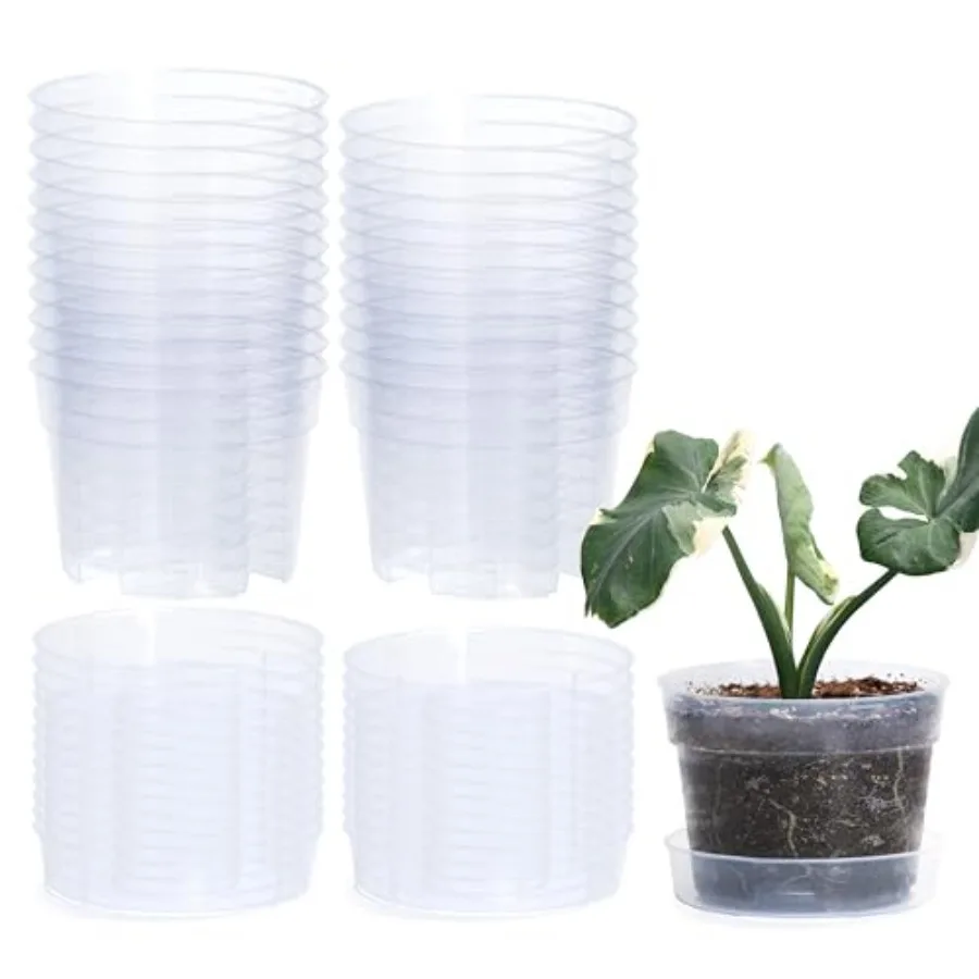 

6 Inch Clear Plastic Plant Pot with Drainage Holes for Indoor Gardening, BPA-Free Transparent Plastic, Clear Color, Interlockin