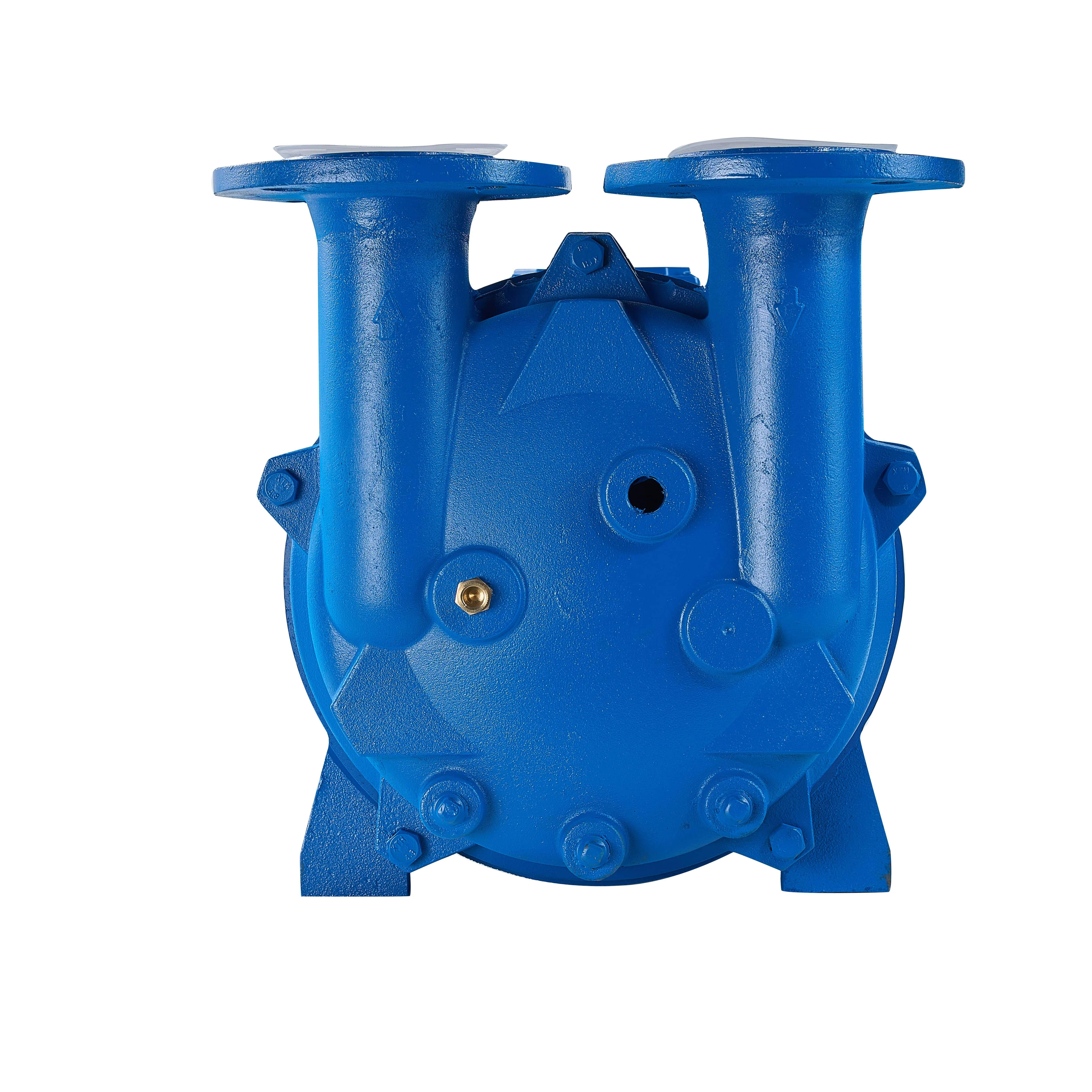 

Eco-Friendly High-Performance 2BV Water Ring Pump 380/440V Motor for Pharmaceutical GMP Packaging Environmental Waste