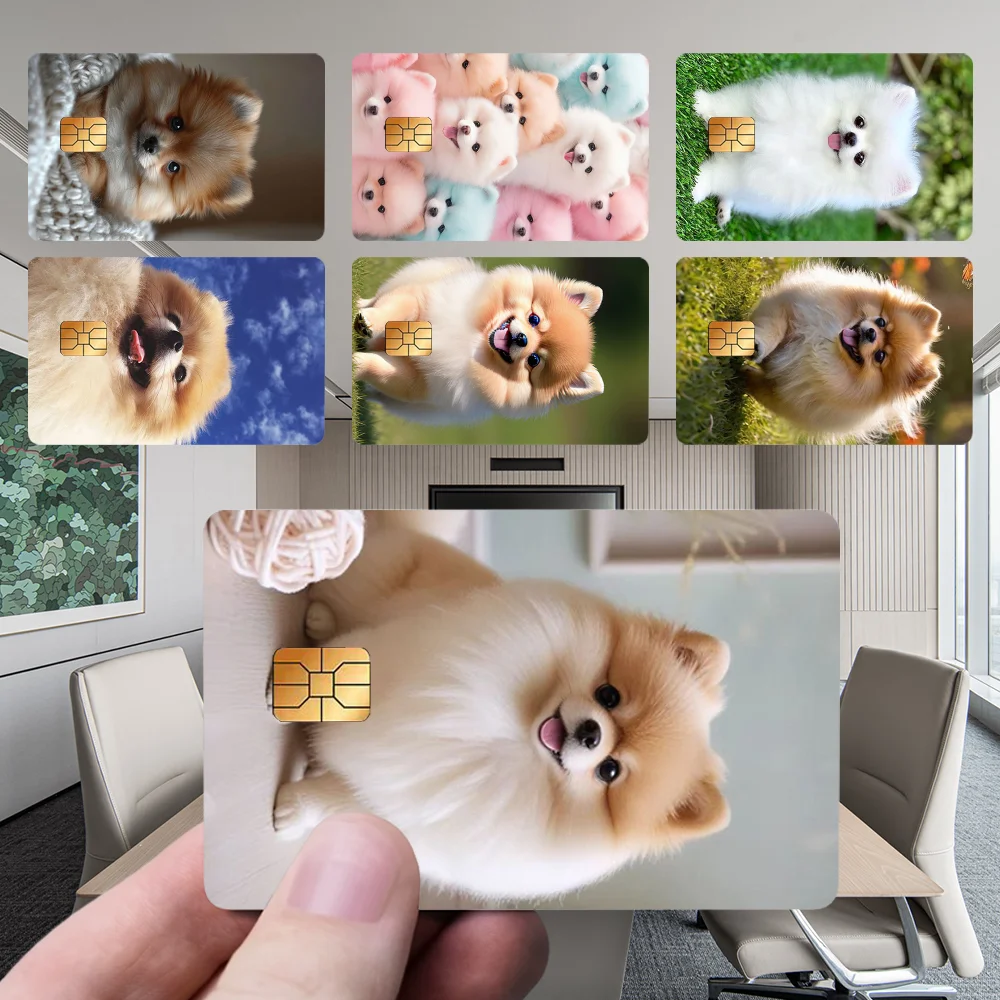 

Cute P-Pomeranian Dog Stickers New Cartoon Card Debit Bank Charge Card Bus Metro Waterproof Sticker Decal Decoration
