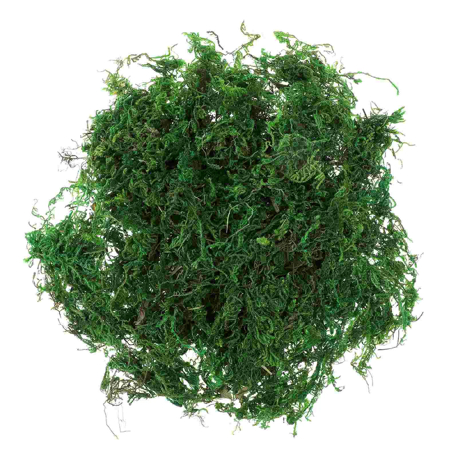 Fake Moss for Centerpieces Dried Aftificial Artificial Natural Bonsai Decorative Preserved Terrarium Plant