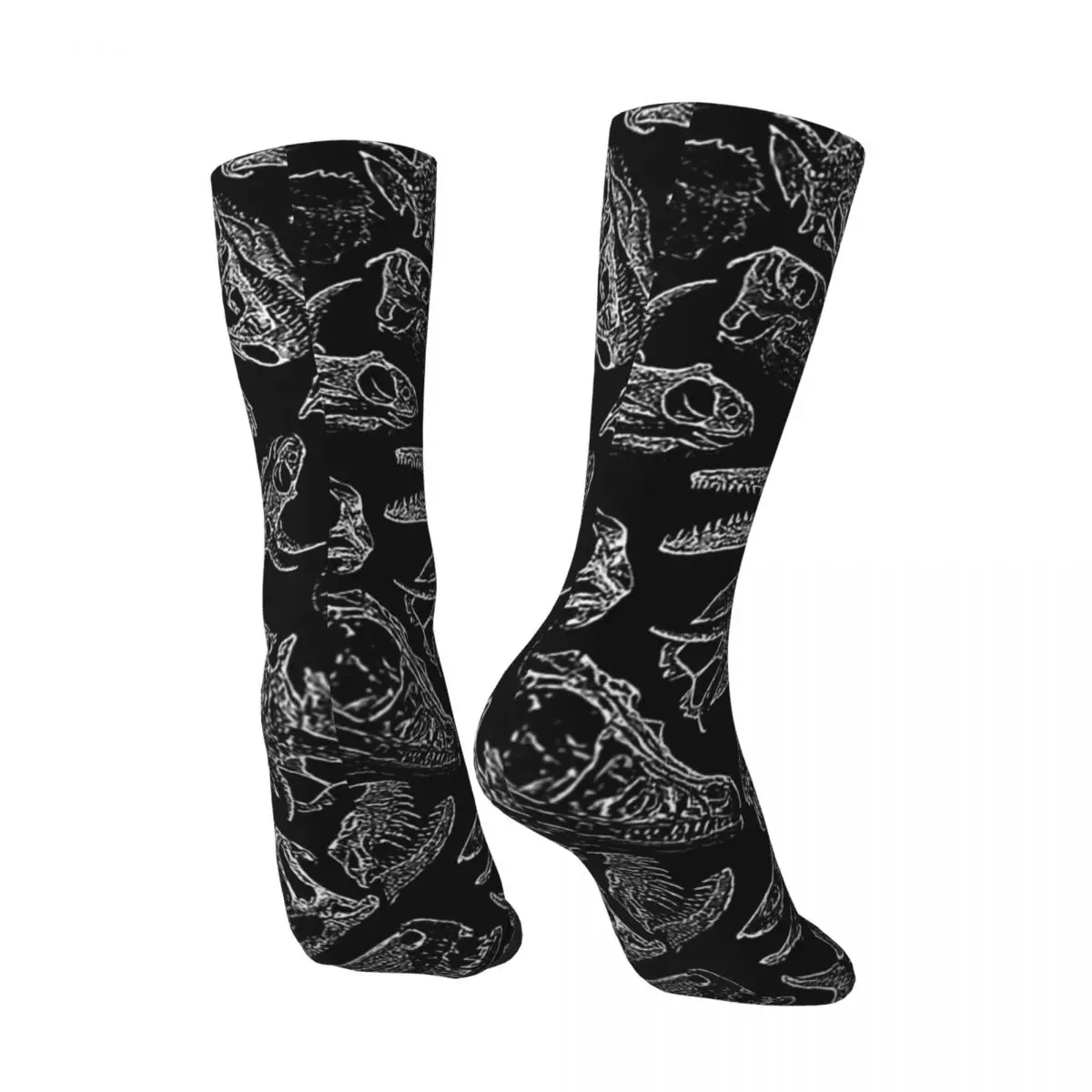 Funny Crazy Sock for Men Paleontology Dream II Hip Hop Harajuku Skeleton Skull Bone Happy Seamless Printed Boys Crew Sock Gift