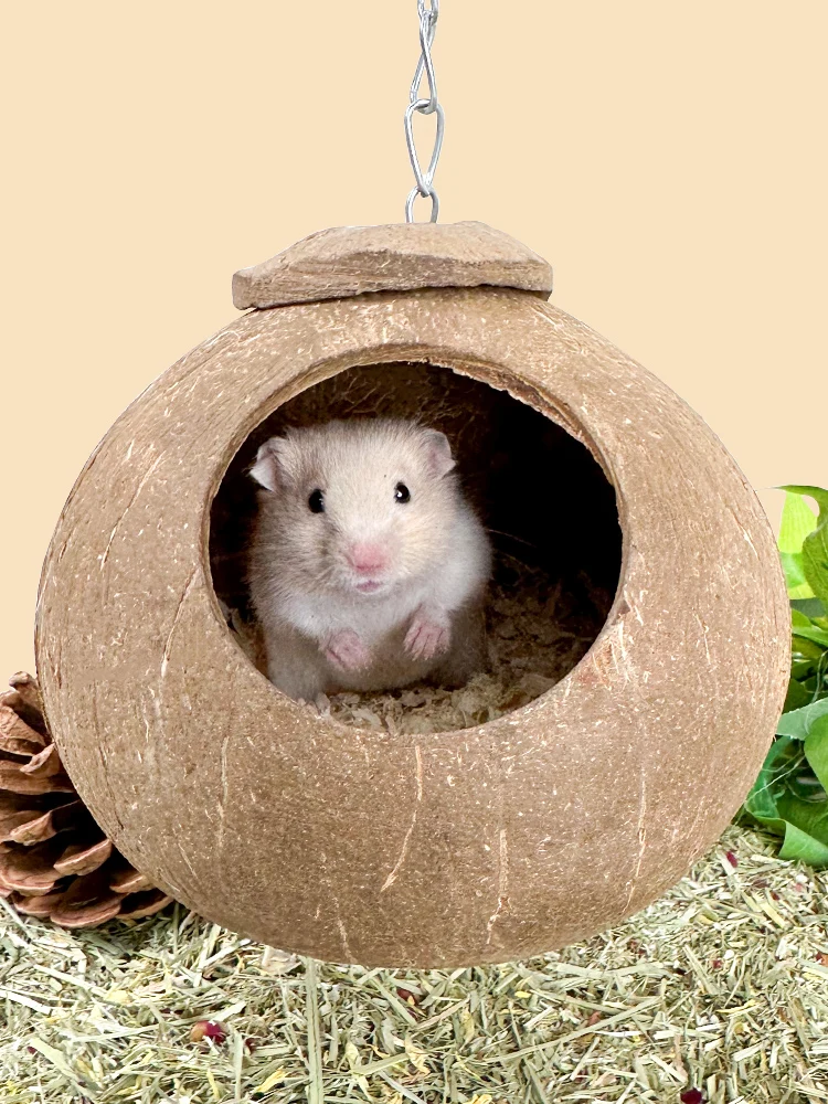 Hamster Coconut Shell Shelter Summer Cooling Coconut Landscape Supplies