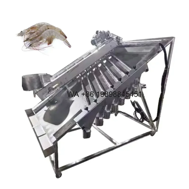 Wmwmnu Small Fish Shrimp Grader Grading Cleaning Machinery for Shrimp Grader