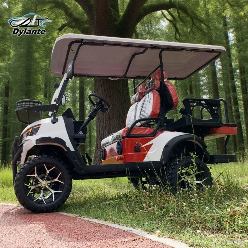 Long Range 2 Seats Electric Golf Cart 72V Lithium Battery Golf Cart For Adults Black Upholstered Seat Golf Bag Straps And Basket