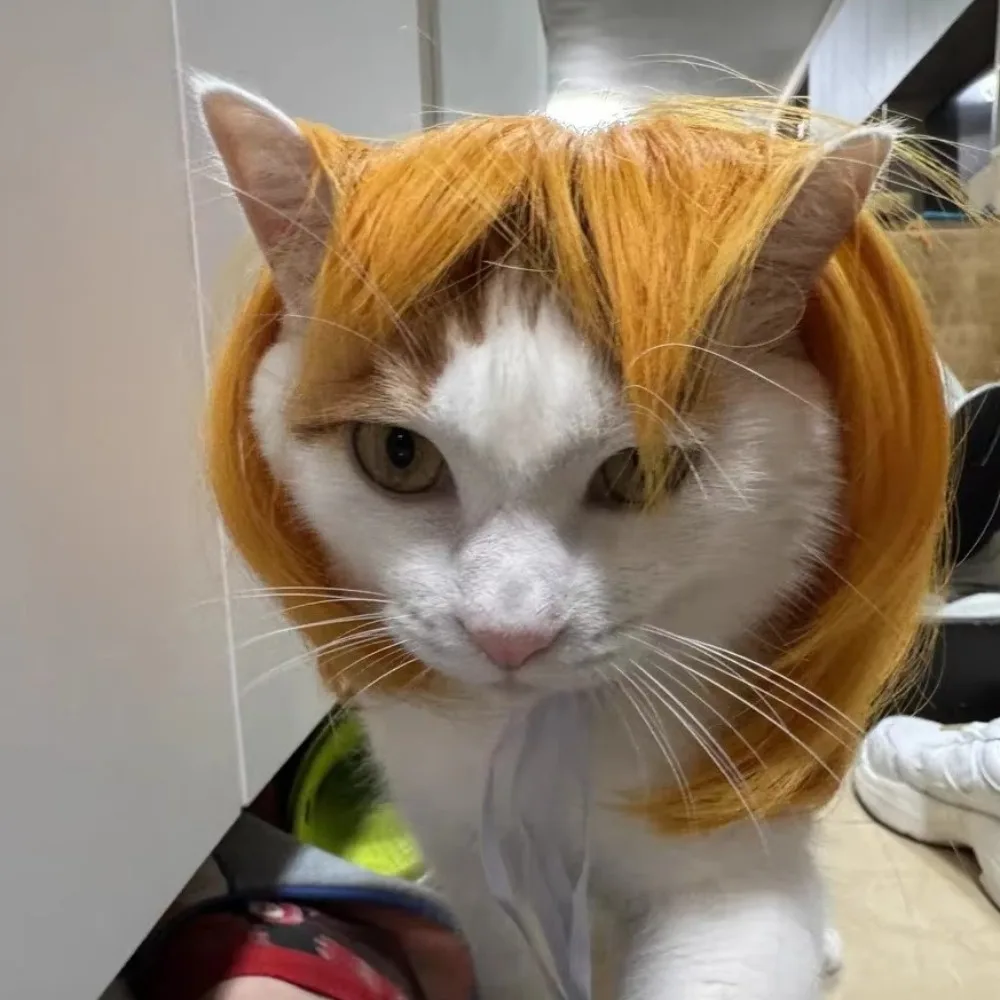 

Universal Straight Hair Pet Costume Wig Colorful Funny Dog Hairpiece Adjustable Cat Cosplay Wig Photography