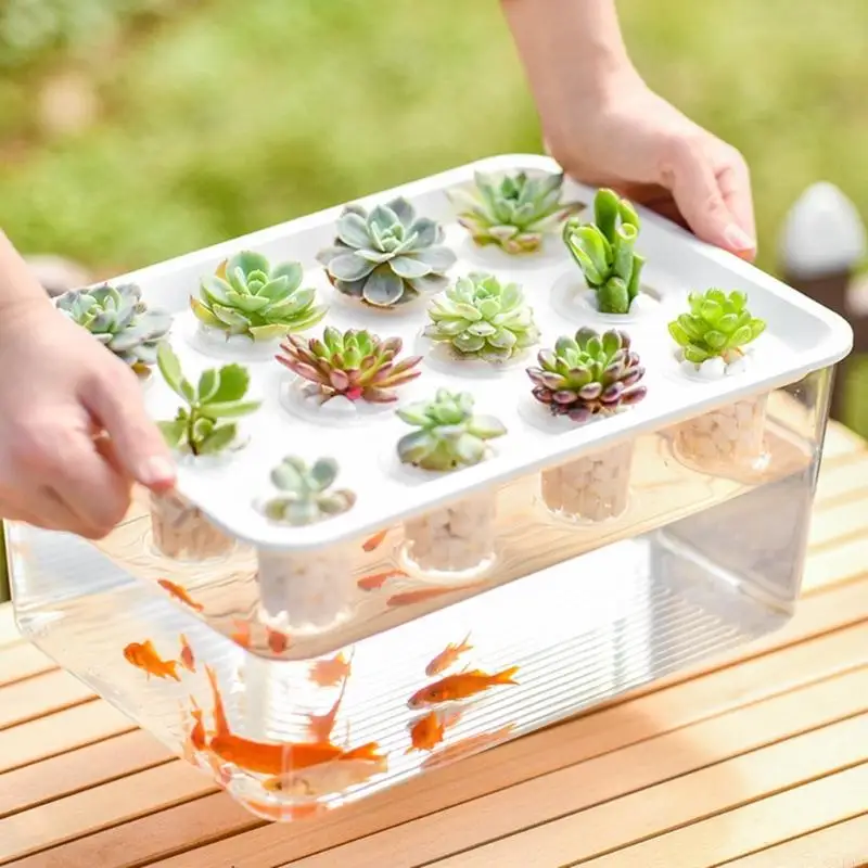 L9BE All Purpose Plastic Germination Tray For Various Crops And Educational Projects