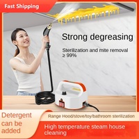 110V 220V Steam Cleaning Machine High-pressure and High-temperature Kitchen Range Hood Bathroom Air Conditioning Steam Cleaner