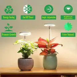 Led Plant Light Eye-friendly Plant Light Efficient Full Spectrum Led Grow Lights for Flower Bonsai Plants Wide Illumination