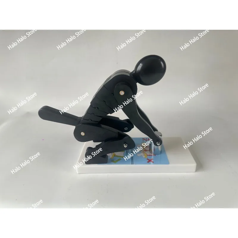 

Human body bending weightlifting model spinal stress demo fitness correct posture waist lumbar protection