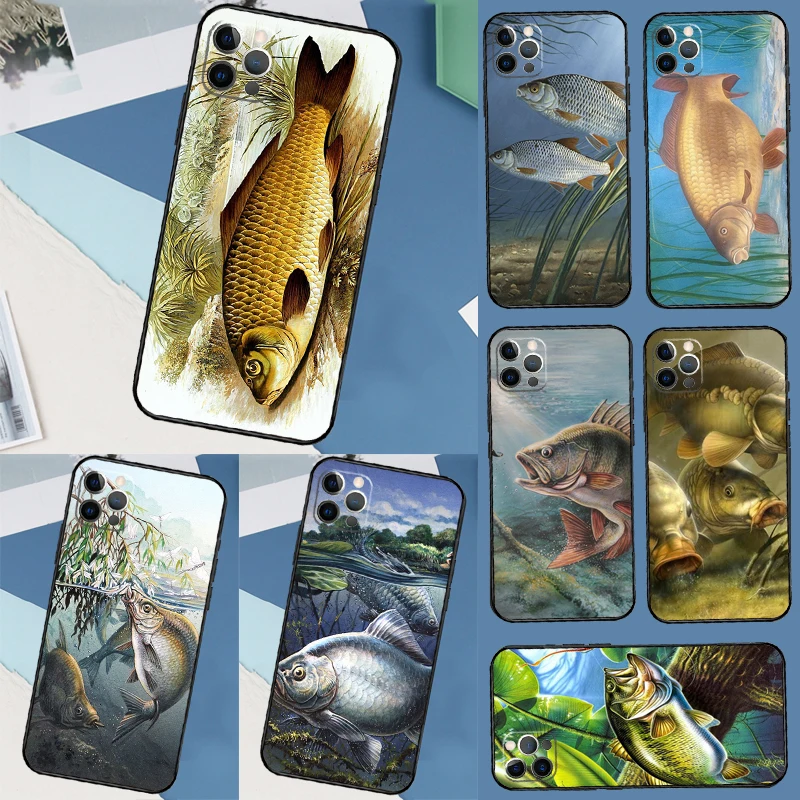 Carp Fishing Fish F… - image