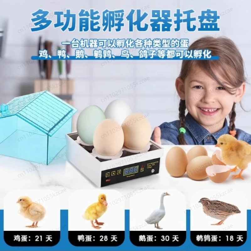 Fully Automatic Poultry Incubator: Hands-Free Temperature & Humidity Control for Successful Hatching.