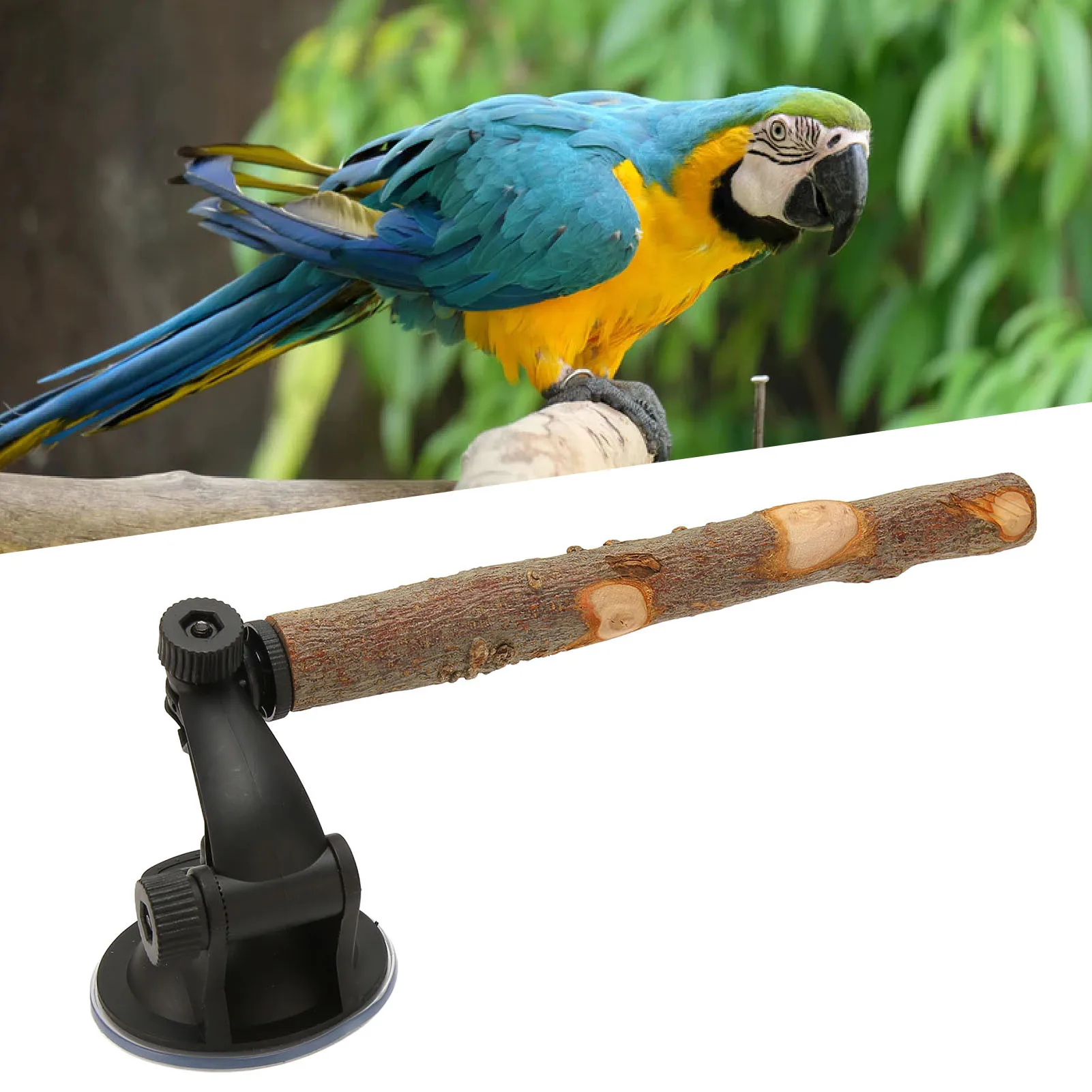 Wood Parrot Perch Prevent Slip Interactive Bird Window Perch Stand With Suction Cups For Small Medium Bird