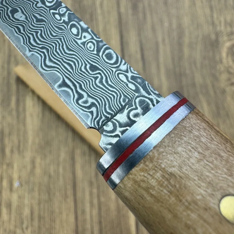 Imagem -03 - Damasco Tanto Blade Knife Olive Wood Handle Estilo Japonês Canivete Camping Ferramenta Edc Tactical Facas Militares Gift Box Vg10