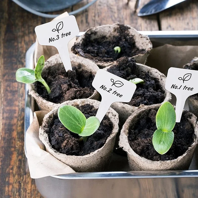 50/100Pcs Plant Labels Garden Plant Tags Set Plastic Plant Markers T-Type Seed Markers Plant Label for Potted Plant Flower Seed