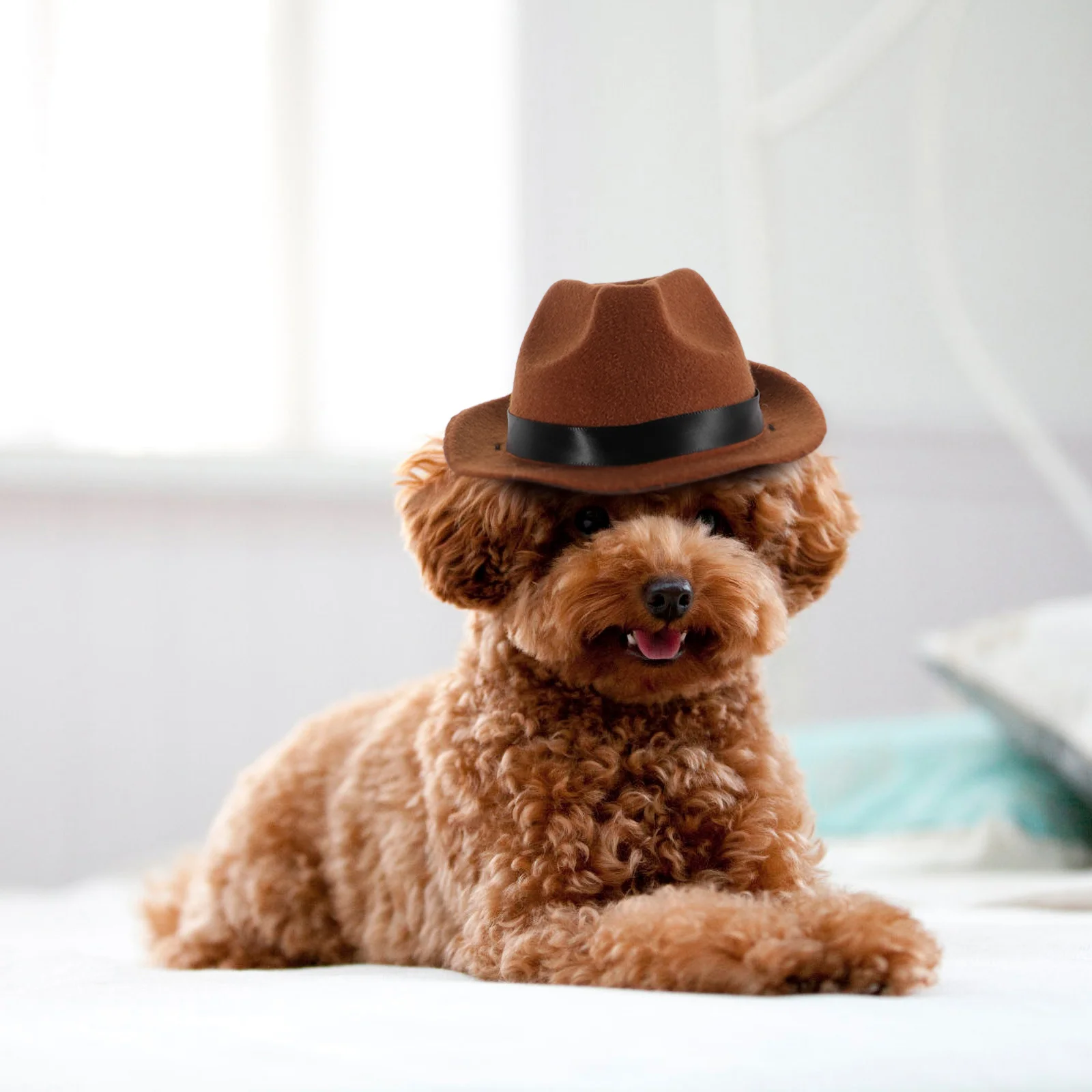 

Dog Denim Hat Creative Design Durable Cotton Adjustable Strap Ideal for Pet Festival Party Birthday Decorative Puppy Accessory