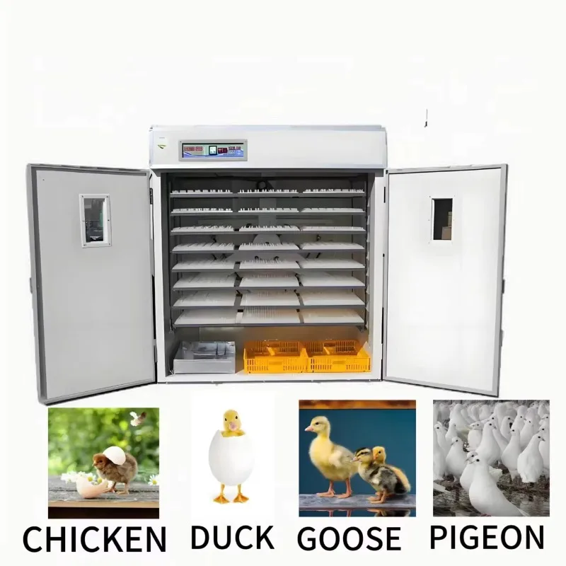 Fully Automatic Egg Incubator Machine With Temperature and Moisture Controller Customized