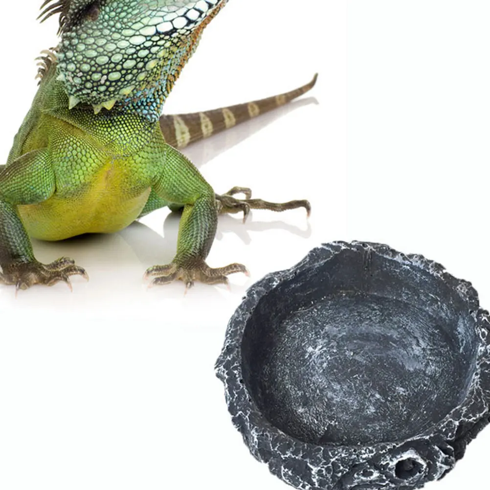 

2Pcs Reptile Water and Food Bowl Versatile Indoor Outdoor Design for Turtle Lizard Snake Pet Feeding Dish Compact Rounded Shape