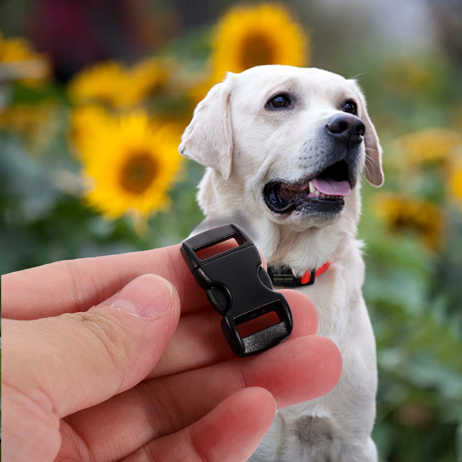 

Side release buckles Side release plastic buckles plastic buckle 3/8 inch plastic buckles for paracord bracelets