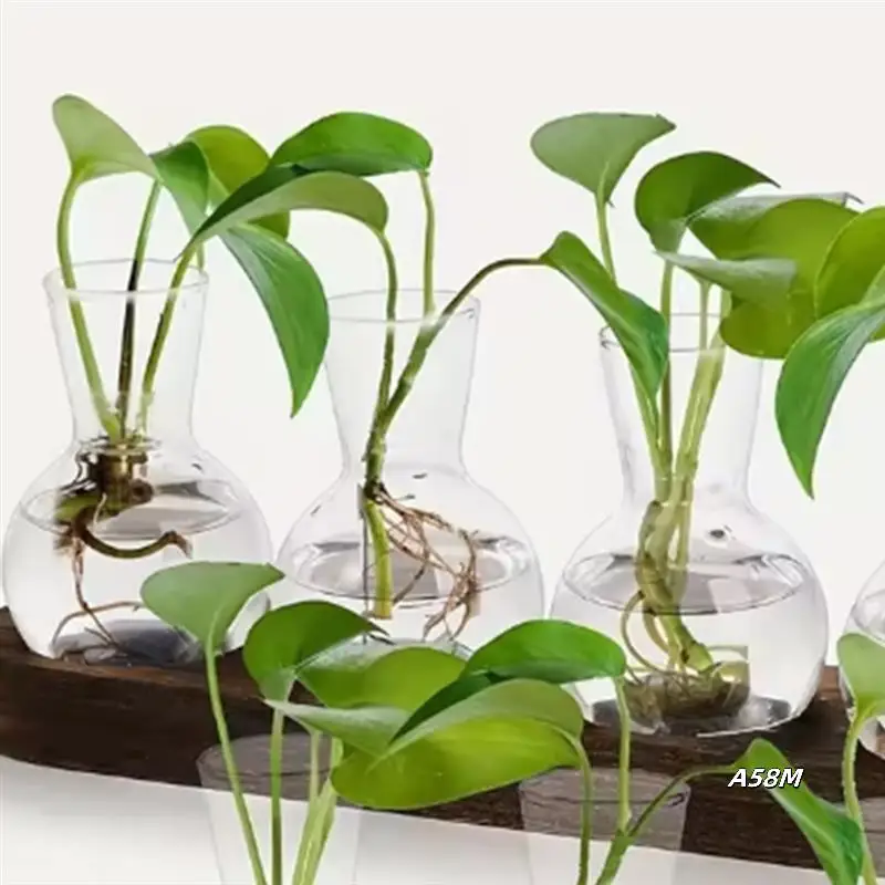 

Plant Terrarium Glass Vase Modern Transparent With Wooden Tray, Indoor Desktop Decor