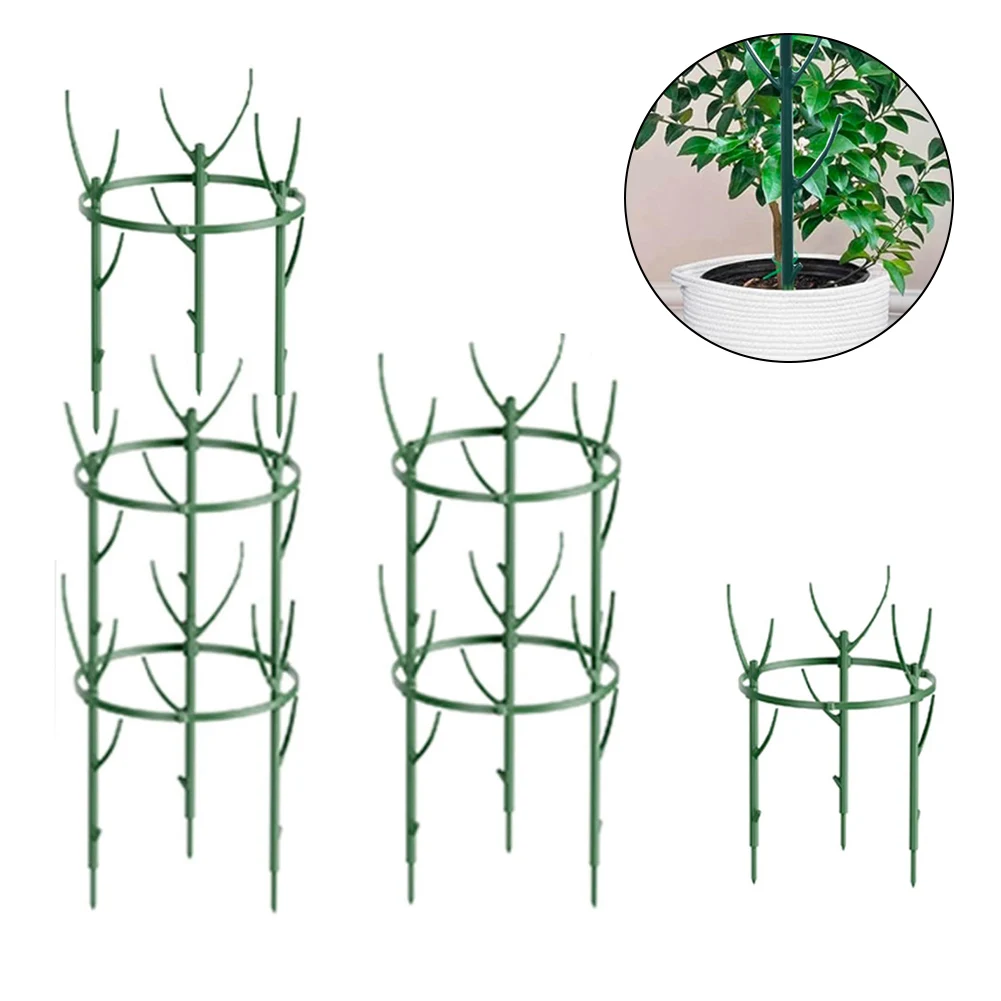 

Plant Support Pile Stand Climb For Flowers Grow Semicircle Greenhouses Arrangement Fixing Rod Holder Orchard Garden Bonsai Tool