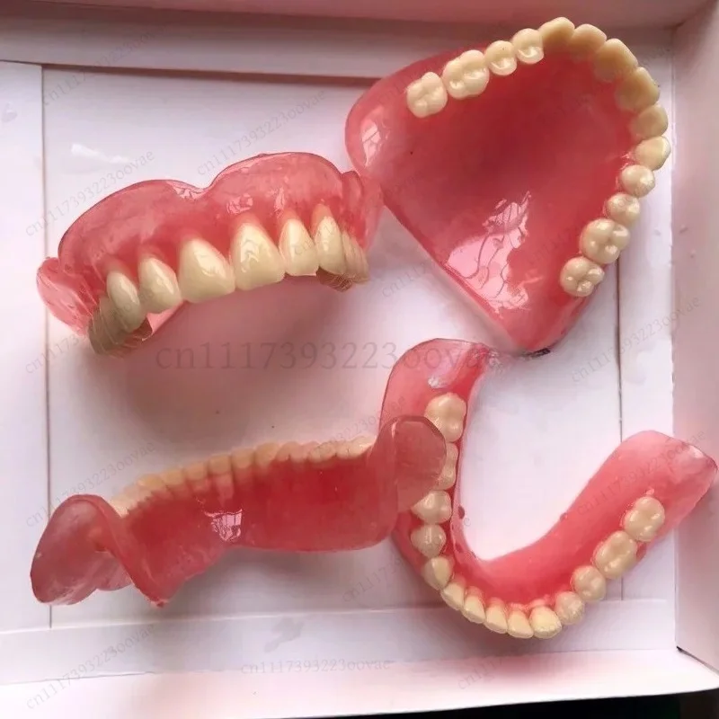 Full & Half Mouth Denture Sample Model Elderly Teeth Model Dental Teaching Display Demonstration Spare Parts