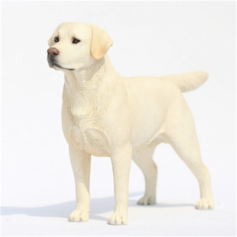 1/6 Schaal Mr.Z Diermodel Hoge Imitatie De Labrador Retriever Hond Voor 12' Action Figure Body Scene Accessoire ﻿