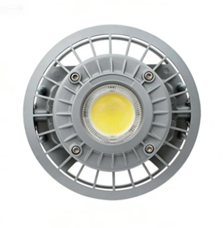 BC9306P Series ATEX Seamless Anti-corrosion 60W Indoor Lamp Pole Mounted Explosion Proof LED Dock Light