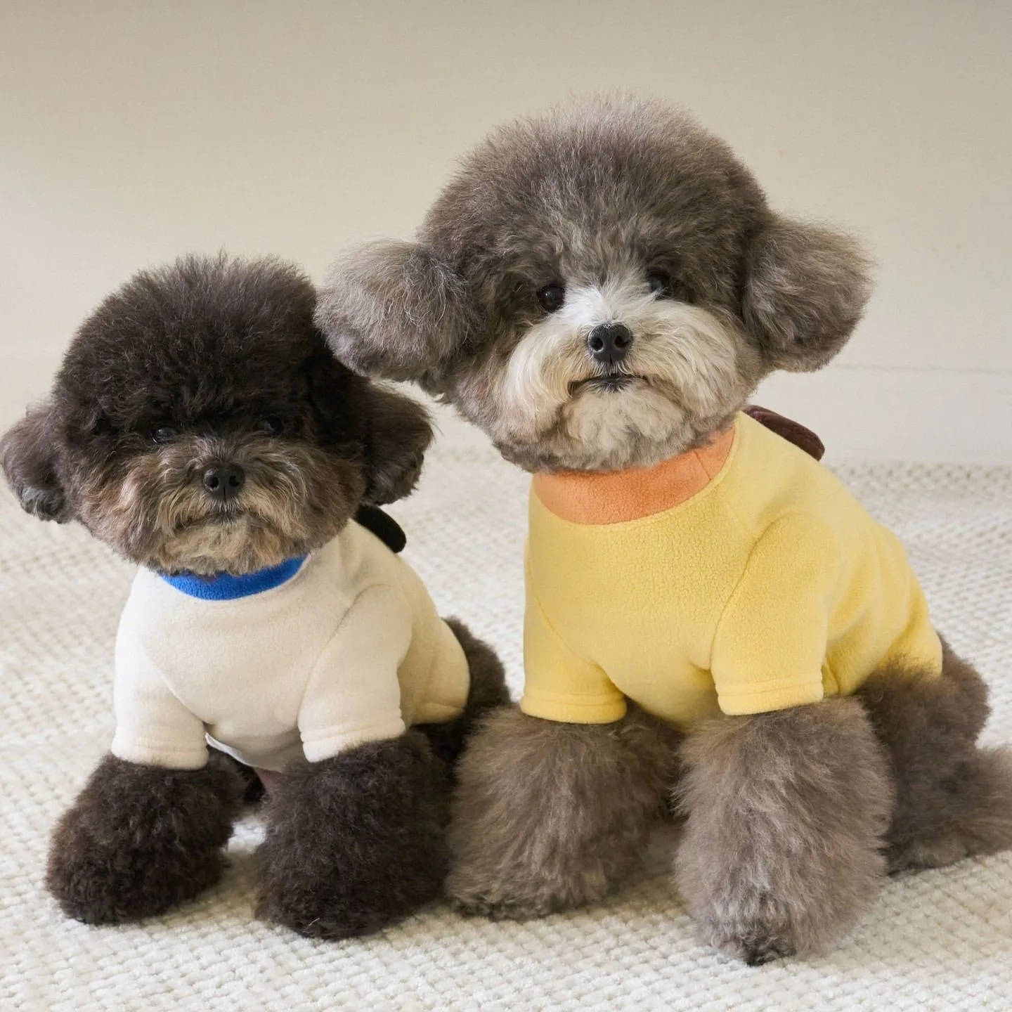 

Жилет с рисунком собаки, зимняя одежда с 3D ушками для домашних животных, утолщенная теплая рубашка для щенков, мягкий пуловер с бишон фризером