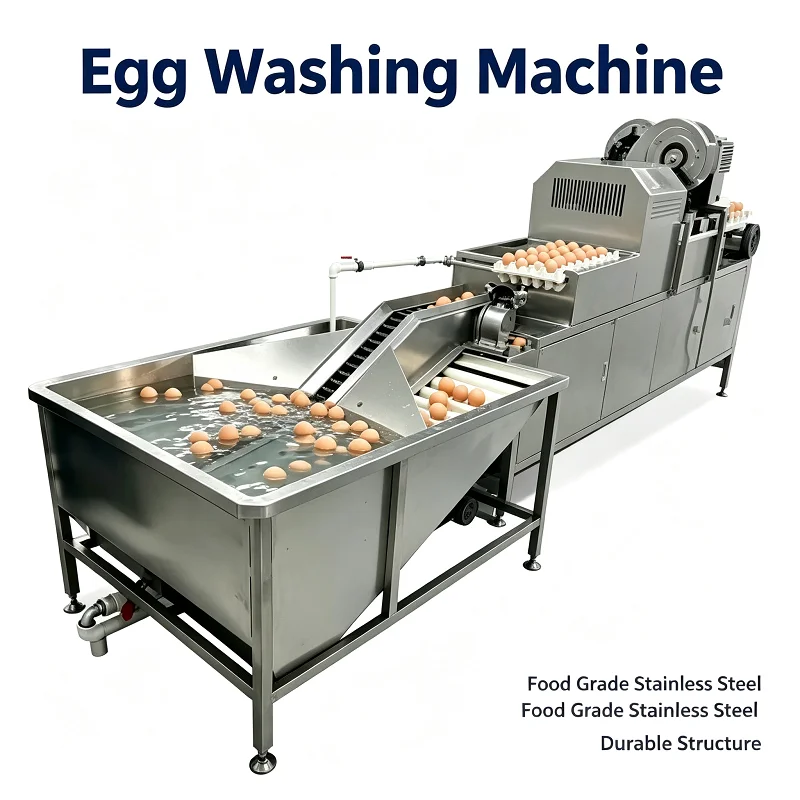 Heavy Equipment Washing - خط إنتاج معدات غسل وتصنيف وتعبئة