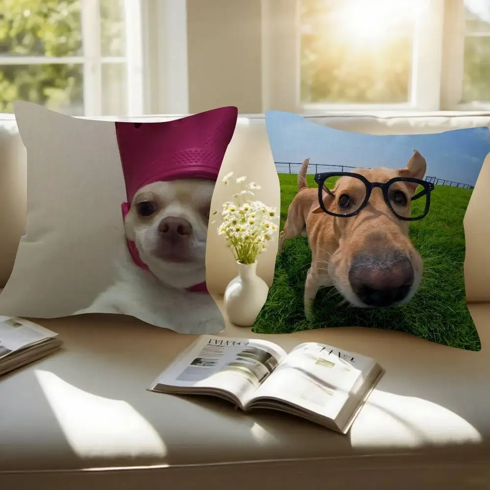 Cute Dog Funny Meme Double-sided Printed pillow cover Short plush Suitable living rooms bedrooms sofas throw cushion cover