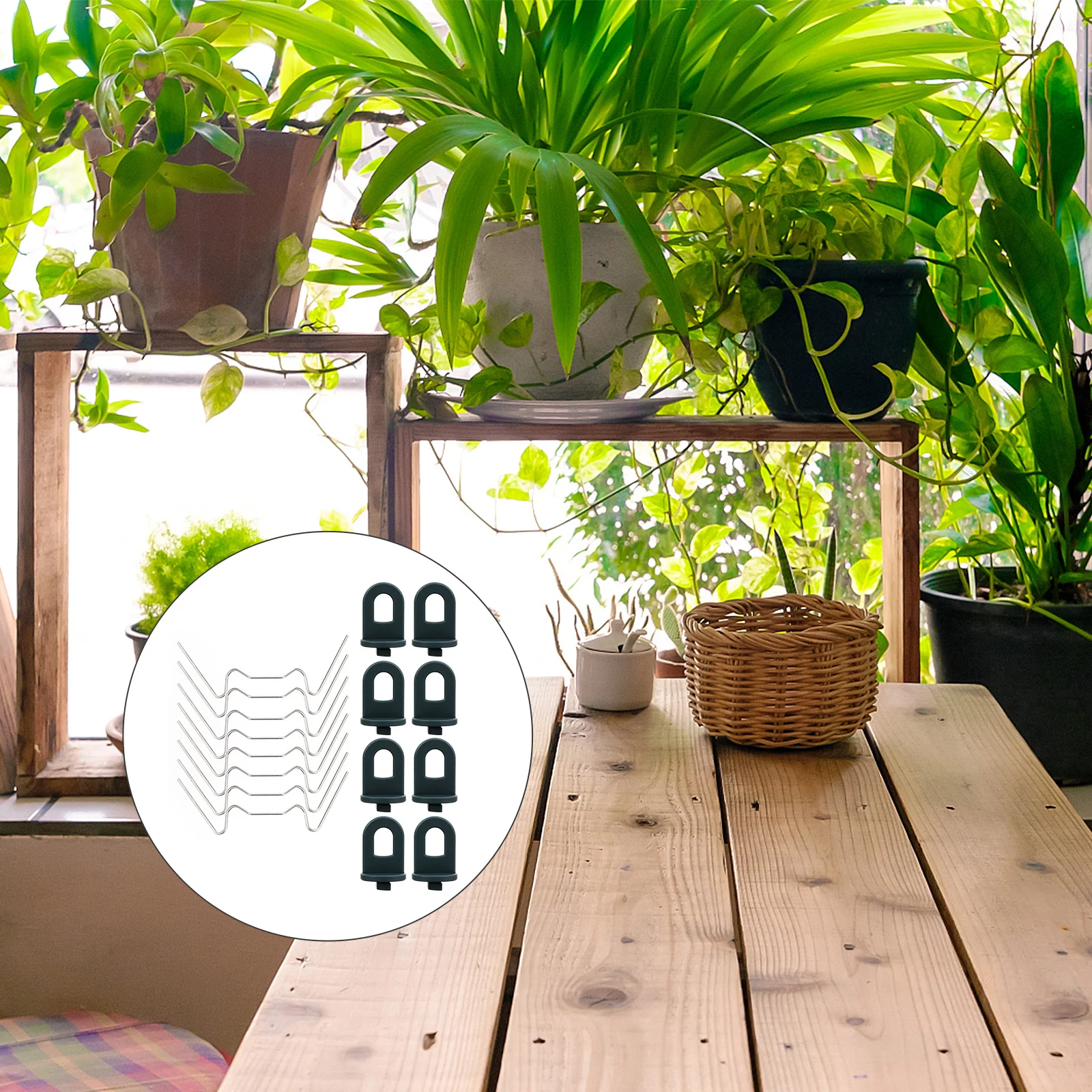 

1Set Stainless Steel Glass Clips Garden Supplies 25 Pieces Greenhouse Glass Fixing Clamps 10 Plastic Plant Hangers Garden Plant