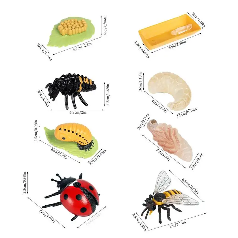 科学教育玩具,ライフサイクルのフィギュア,リアルなてんとう虫と蜂の動物の成長,野生のバグのおもちゃ,農場,動物の成長