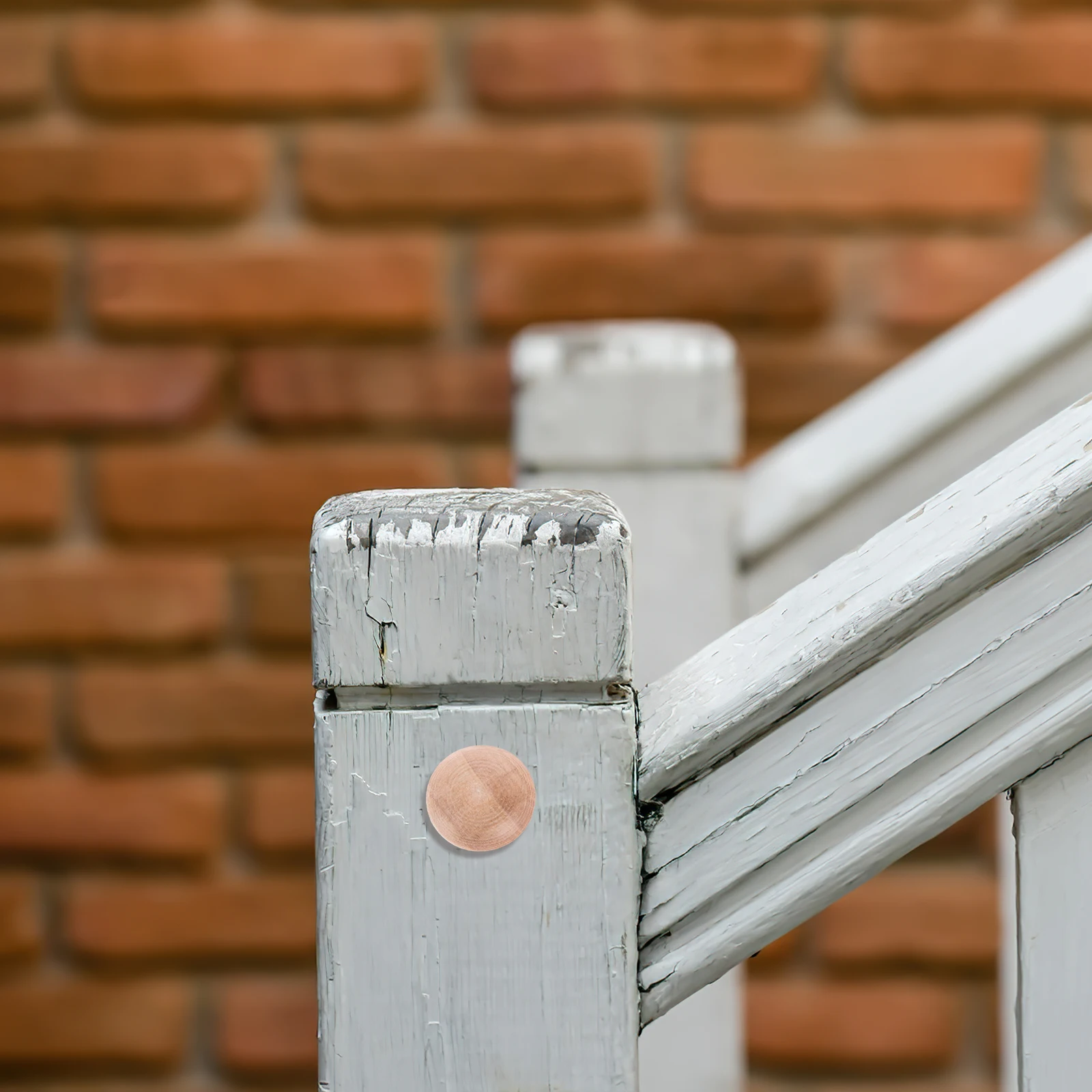 

25Pcs Button Wood Plugs Durable Wooden Furniture Stair Replacement Holes Smooth Texture Button Wood Plug Furniture Plug