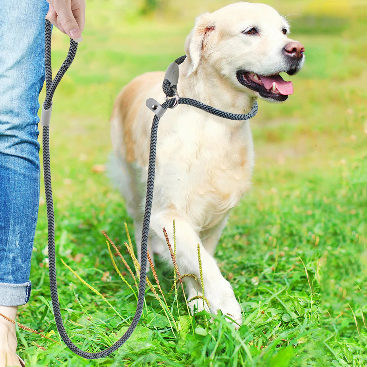 Classic Dog Collar and Leashes, 2in 1, Black Mesh P Rope, Nylon Leash, Adjustable Slip Strap, Training Dog Harness, Lead