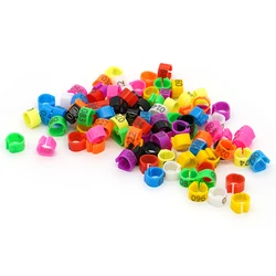 100Pcs Pigeon Foot Rings Poultry Foot Rings with Words Plastic Pigeon Chicken Goose Birds Colored Foot Rings Training Supplies