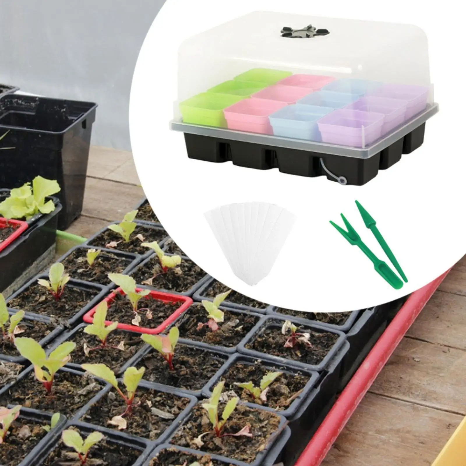 صينية شتلات PP سوداء مع قاعدة وغطاء لبدء البذور الداخلية ونمو الأخضر الدقيقة #3