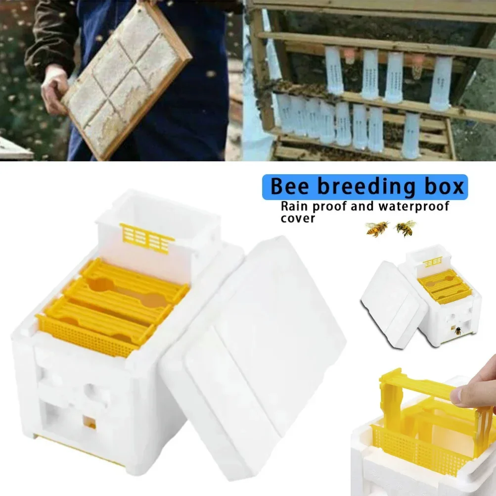 Bienenstock Imkerei Box Werkzeuge Bienenstock Rahmen halter Ausrüstung Kit Bienenstock Bestäubung König Bienen Bienenstock Box für Imker Lieferungen