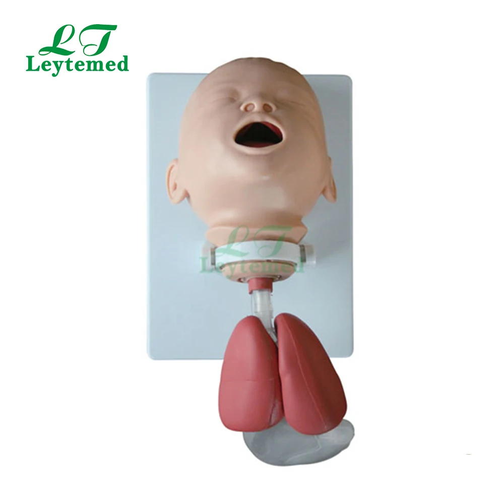 LTM410B Medical Teaching Training Infant Intubation Model manikins