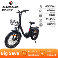 BAOLUJIE DZ-2030 Electric Bicycle 20*4.0 Inch Wide Tire 500W Motor 48V 13Ah Battery Adult Electric Bicycle